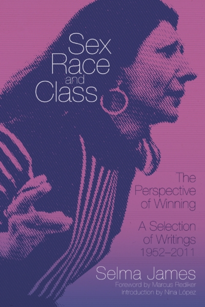Sex, Race, and Class - The Perspective of Winning: A Selection of Writings 1952-2011