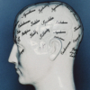 The Nature of Human Brain Work