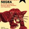 Zapantera Negra