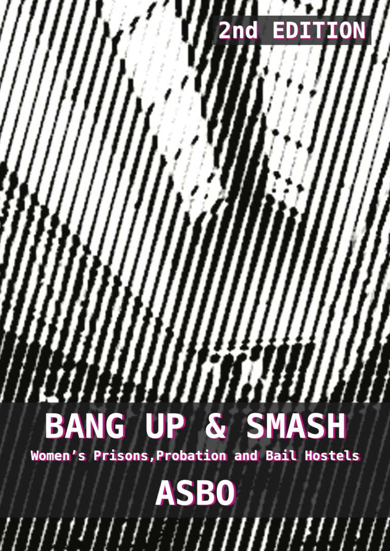 Image for Bang Up and Smash : Women's Prisons, Bail Hostels and Probation